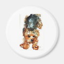 Suche nach yorkshire terrier magnete Tiere