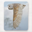 Suche nach schleiereulen mousepads Raubvögel