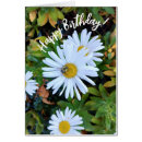 Suche nach bienen geburtstag karten Blumenreich