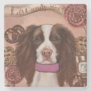 Suche nach englischer springer spaniel Geburtstag