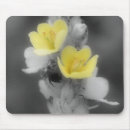 Suche nach käfer mousepads Fotografie