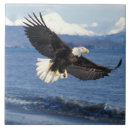 Suche nach profil fliesen Hausfrau