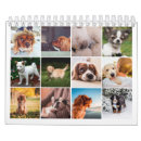 Suche nach kleiner kalender Tierkalender