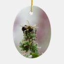 Suche nach bienen ornamente Natur