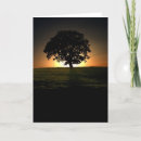 Suche nach einsamer baum karten Sonnenaufgang