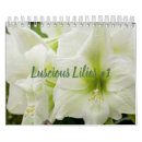 Suche nach lilien kalender Natur