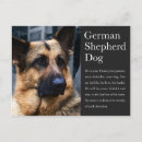 Suche nach gsd postkarten Hund