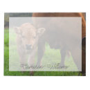 Suche nach kuh notizblock Kalb