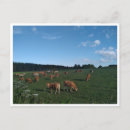 Suche nach santiago de compostela postkarten Spanien