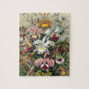 Suche nach orchideen puzzle Blume