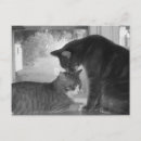 Suche nach freundes poster postkarten Katze