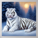 Suche nach white tiger poster Wildlife