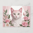 Suche nach rosa und weiße rosen poster Katze