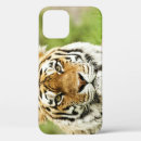 Suche nach bengalischer tiger iphone hüllen Sibirisch