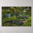 Suche nach krokodile poster Retro