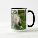 Suche nach zoll tassen Kaffee