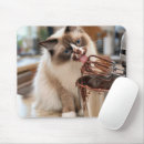 Suche nach ragdoll katze mousepads Kätzchen