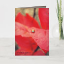 Suche nach marienkäfer karten Denken an sie