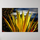 Suche nach maui poster Hawaii