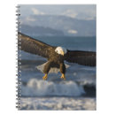 Suche nach adler notizbuch Wildtiere