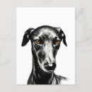 Suche nach hundeliebhaber postkarten Windhund