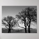Suche nach schwarzer baum poster Bäume