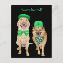 Suche nach lustige st patricks day einladungen Spaß