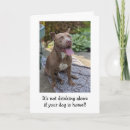 Suche nach pitbull karten Hundeliebhaber