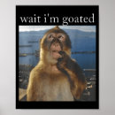 Suche nach goat poster Fotografie