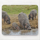 Suche nach flusspferd mousepads Afrika