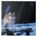 Suche nach stevens fliesen Alaska