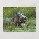 Suche nach mutter afrika poster Umwelt