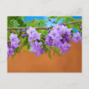 Suche nach jacaranda postkarten Blume