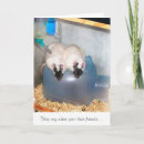 Suche nach ratten karten Mäuse