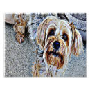 Suche nach knall poster Farbenfroh