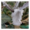 Suche nach feder poster Winter