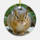Suche nach auge ornamente Kinder