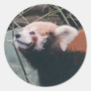 Suche nach firefox Natur