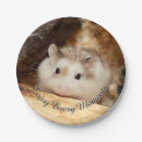 Suche nach niedliche hamster teller Haustier