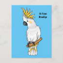 Suche nach schwefel postkarten Kakadu