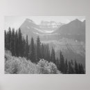Suche nach weißer baum poster Fotografie