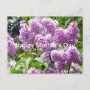 Suche nach mutter natur postkarten Mother