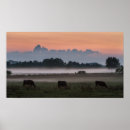 Suche nach moo poster Natur