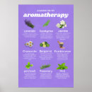 Suche nach öle poster Aromatherapie