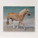 Suche nach haflinger puzzle Meer