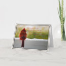 Suche nach besuch karten Fotografie