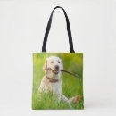 Suche nach stock taschen Welpe