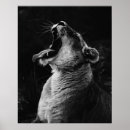 Suche nach gähnen poster Fotografie