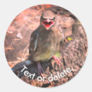 Suche nach birder aufkleber Natur