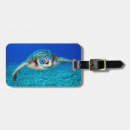 Suche nach schildkröte gepäckanhänger Tauchen